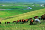 内蒙古:内蒙古的城镇化率已经达到58.7%