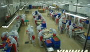 山东潍坊青州中日韩工业园食品加工区项目