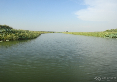  湖北朱湖国家湿地公园项目实景图 
