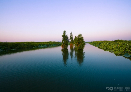 朱湖国家湿地公园 