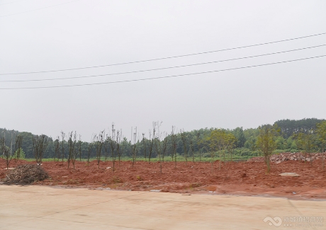  咸宁市汽车零部件制造产业园实景图 