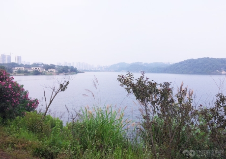 青港湖 