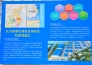  武汉江北综合保税区阳逻港园区实景图 