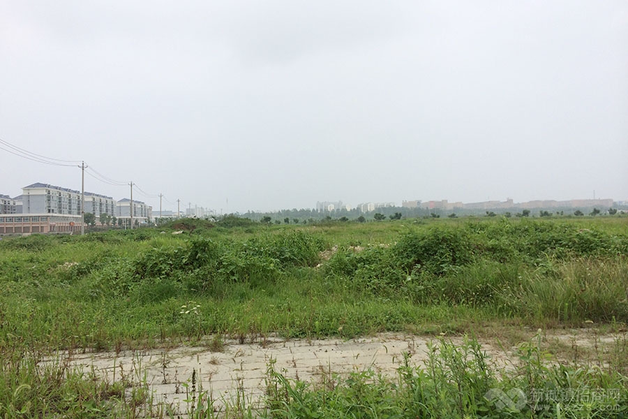 荆门市东宝区现代物流产业园建设项目实景图