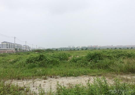  荆门市东宝区现代物流产业园建设项目实景图 