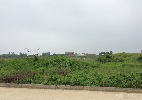  荆门市东宝区现代物流产业园建设项目实景图 