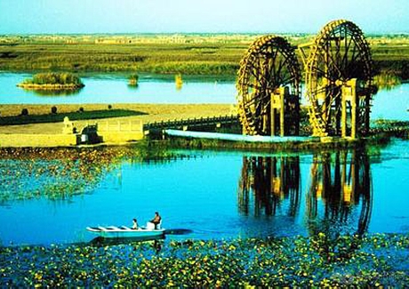 榆中县青城镇东滩湿地公园项目