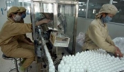 湖南中药材种植加工生产基地项目