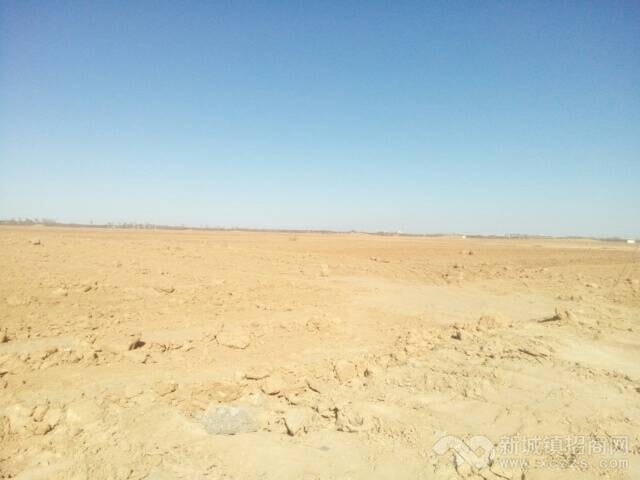 陕北榆林沙漠土地出租实景图