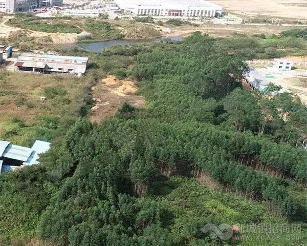 广州从化区鳌头镇龙星工业园10亩工业用地空地出售实景图