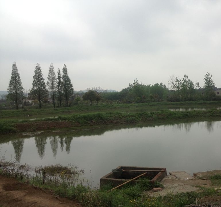 南京江宁区陶吴镇养猪场，鱼塘转让实景图