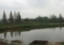  南京江宁区陶吴镇养猪场，鱼塘转让实景图 