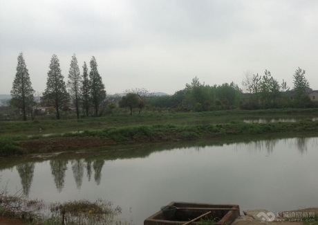  江苏南京江宁区鱼塘，养猪场转让实景图 
