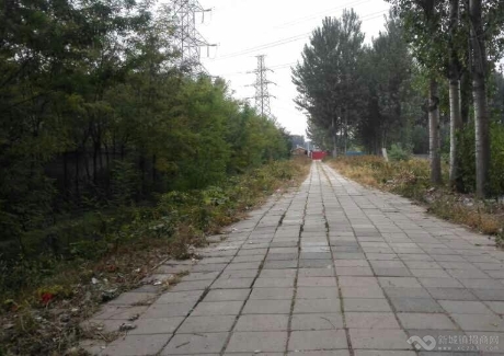  北京昌平区100亩农用地转让可分期支付或寻求合作 .实景图 