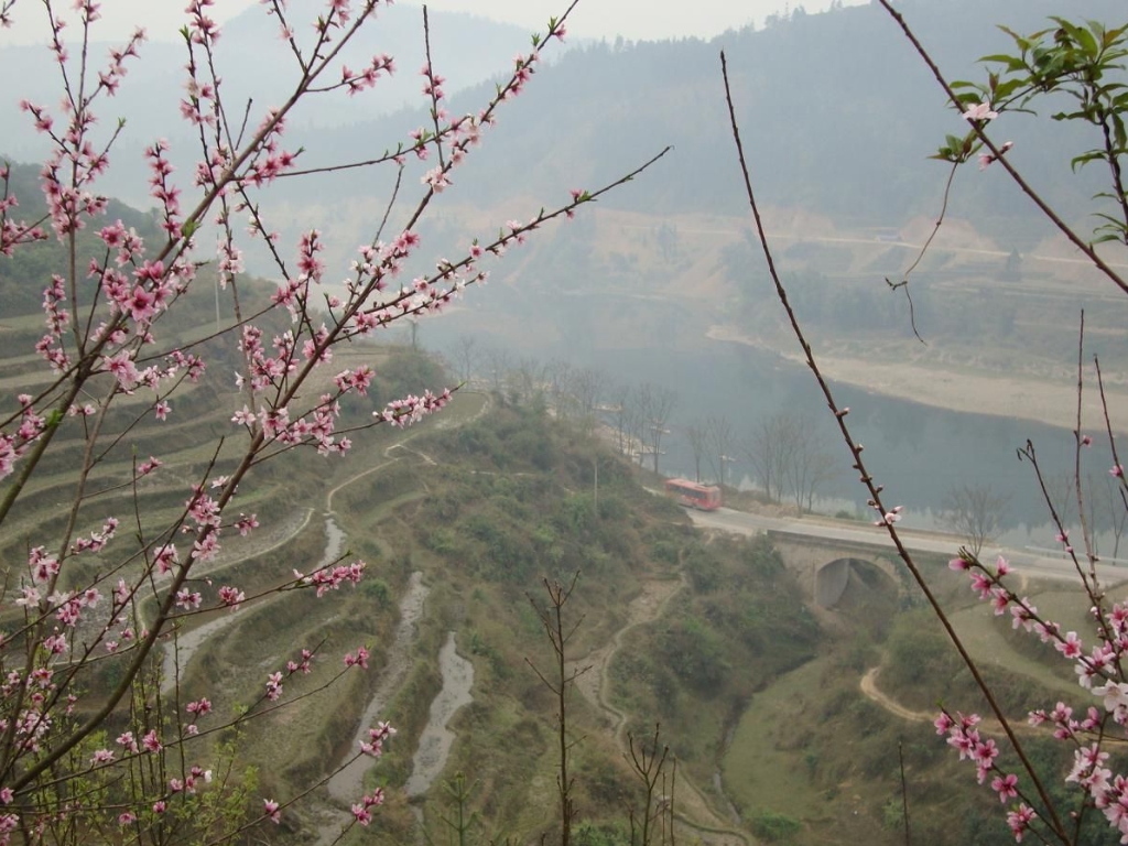 广西柳州三江侗族自治县林地紧急转让实景图