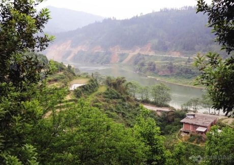 广西柳州三江侗族自治县林地紧急转让实景图 
