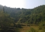  广东河源和平县彭寨镇500亩山地转让实景图 