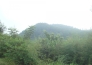  江西吉安安福县1000亩山地紧急转让实景图 