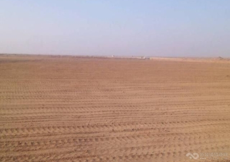 新疆阿克苏60000亩耕地转让