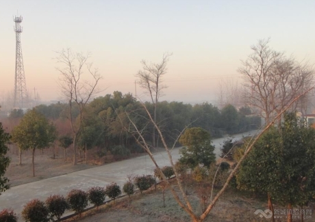  江苏泰州姜堰市生态庄园让实景图 