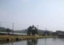  广东惠州汝湖镇70亩鱼塘紧急转让实景图 