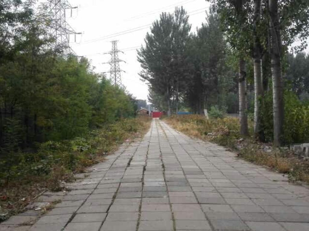 北京昌平区100亩农用地紧急转让实景图