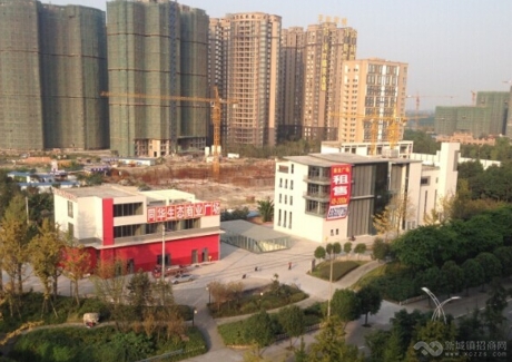  四川成都青白江区核心商圈独栋商业转让实景图 