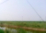  山东东营4000亩太阳能光伏发电项目转让实景图 
