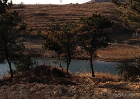  烟台莱州市1200亩荒山荒地转让实景图 