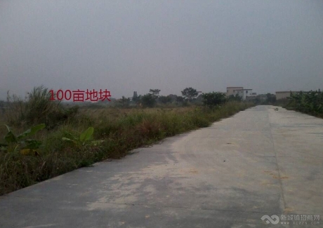  广东中山神湾镇100亩工业地出售 实景图 