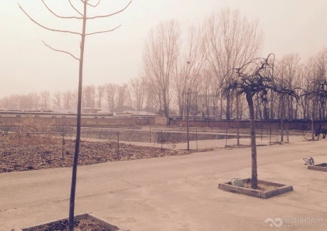  北京昌平区9亩其他土地转让实景图 