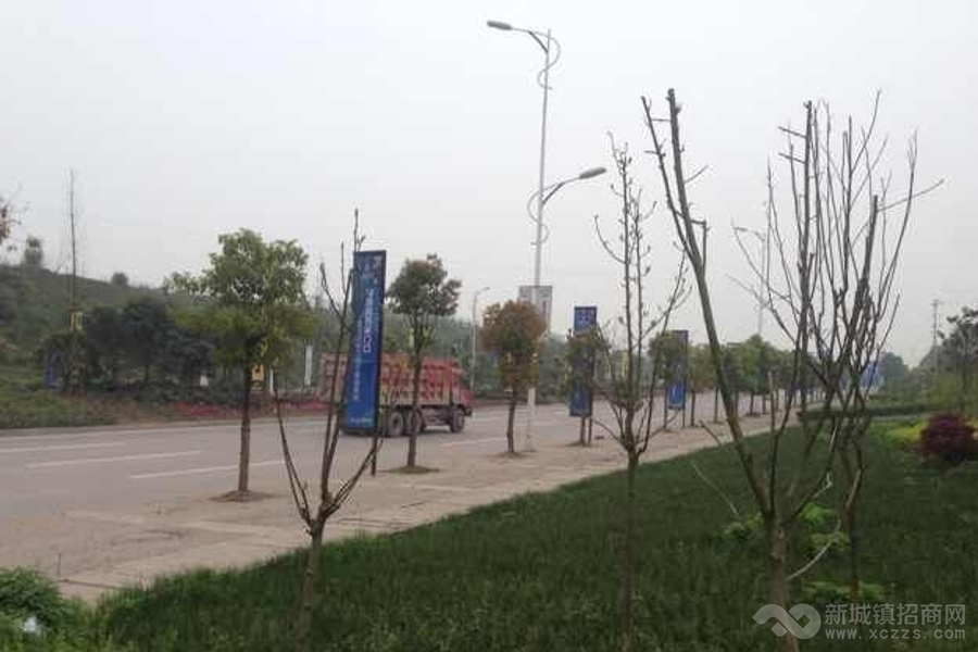 重庆江津双福新区200亩商业地转让实景图