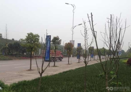 重庆江津双福新区200亩商业地转让实景图 