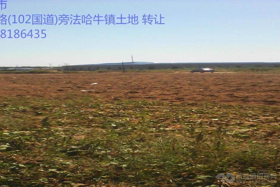 沈新路(102国道)法哈牛镇20亩土地转让实景图