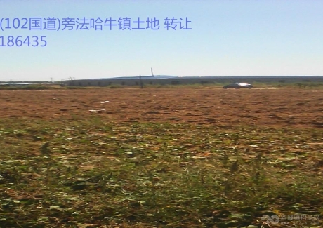  沈新路(102国道)法哈牛镇20亩土地转让实景图 