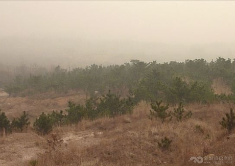  山东青岛胶南市荒山荒地转让实景图 