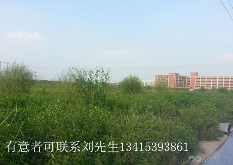  广东中山阜沙镇工业用地转让实景图 