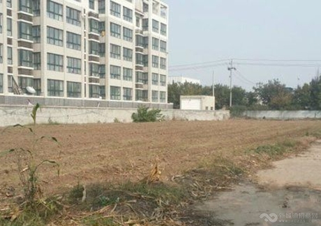 潍坊经济开发区40亩地低价转让 实景图 