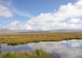  东北吉林省6000亩耕地转让实景图 