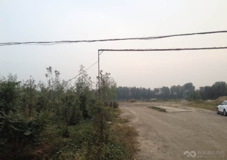  河北廊坊香河县40亩土地转让4000000元实景图 