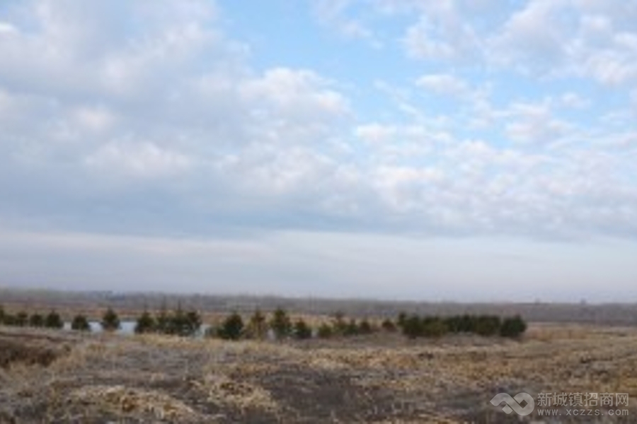 哈尔滨呼兰区150亩荒山荒地转让实景图