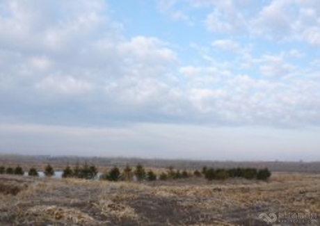  哈尔滨呼兰区150亩荒山荒地转让实景图 