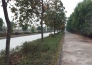  急！广东江门台山市台城街道300亩工业地转让实景图 