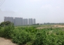  广东中山西区50亩商住地紧急转让实景图 