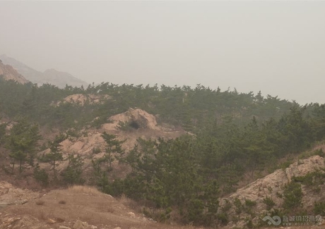  山东青岛胶南市荒山荒地转让实景图 