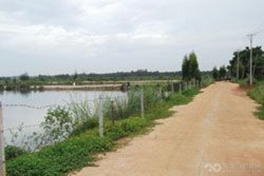 马村港附近200亩物流用地寻开发商购买实景图