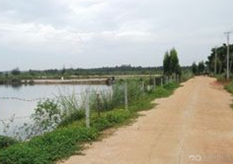  马村港附近200亩物流用地寻开发商购买实景图 