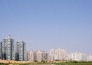  肇庆鼎湖区98亩国有一手工业地出售实景图 