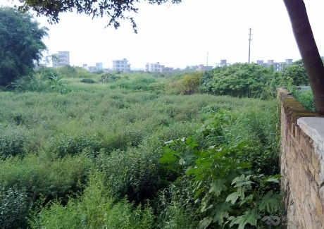  从化城郊横江工业园土地转让实景图 