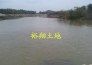  （转让）阳江市阳东县250亩生态农场/养殖地实景图 